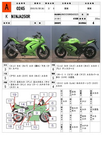     Kawasaki Ninja 250R 2008  1